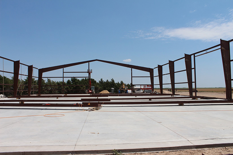 Steel Buildings